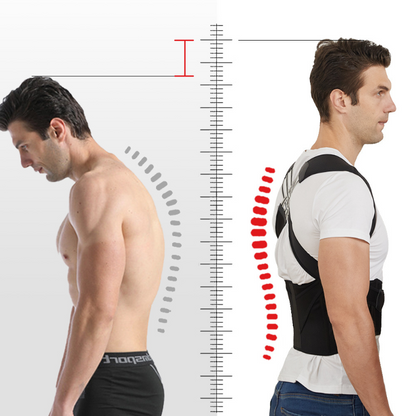 Ava Back Posture Corrector